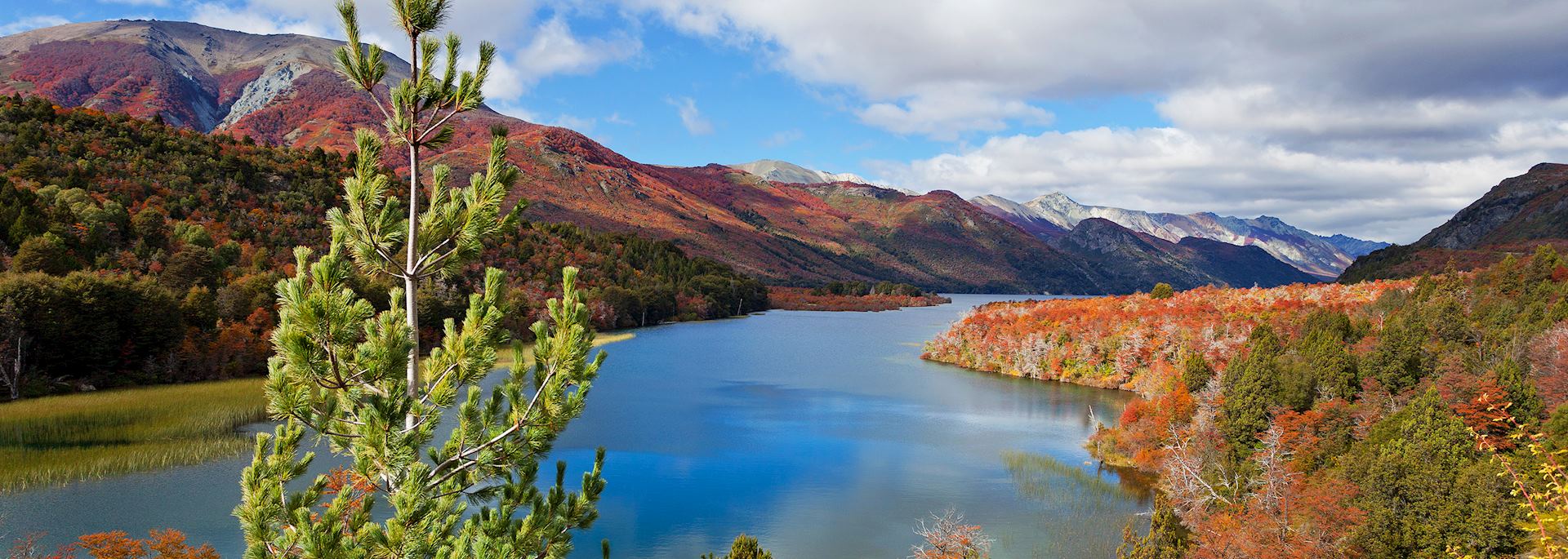 Autumn in Argentina