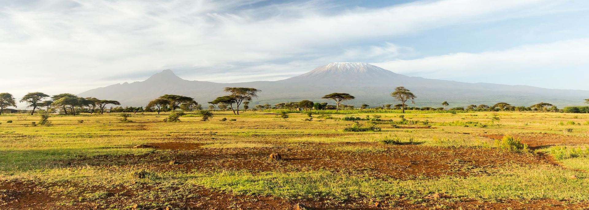 Mt Kilimanjaro